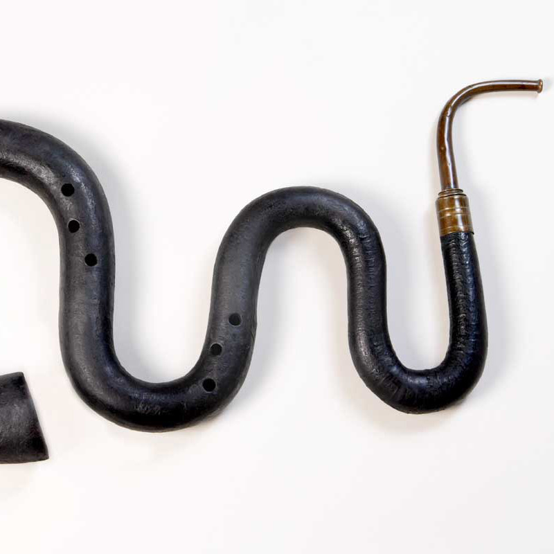 Instrument de musique - Serpent noir
